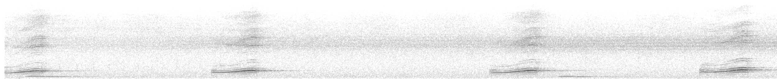 Pazifikkoel (cyanocephalus/subcyanocephalus) - ML279376791