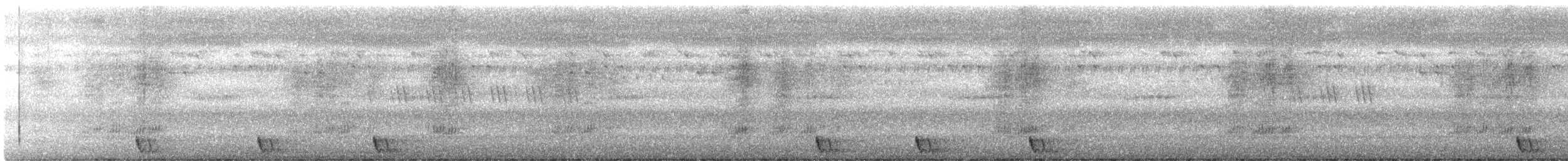 Large-tailed Nightjar - ML279385761