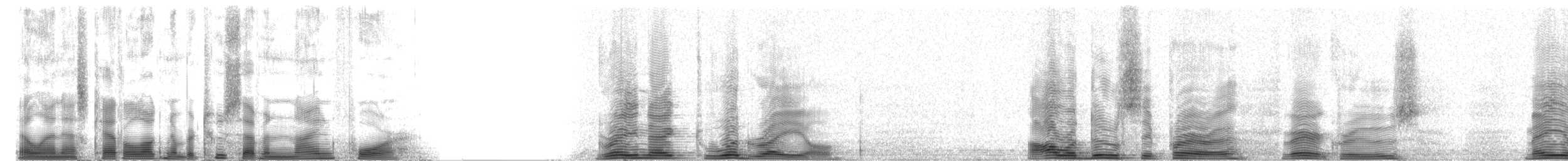 Rotnackenralle - ML2794