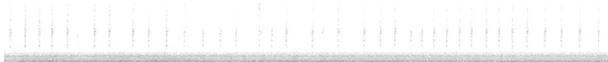 Цинантус синьогорлий - ML279406471