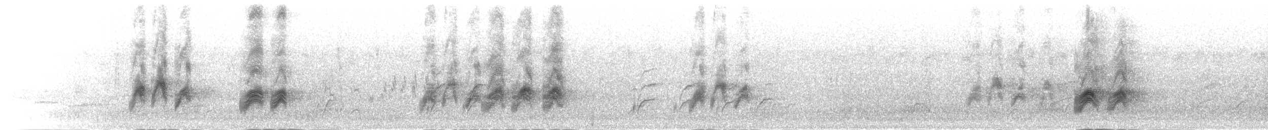 Желтоклювый сорокопут - ML279429