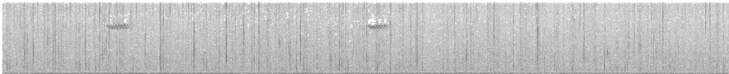 Brown Creeper - ML279432341