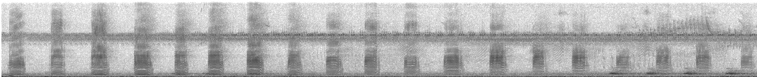ホオジロオナガガモ - ML279487091