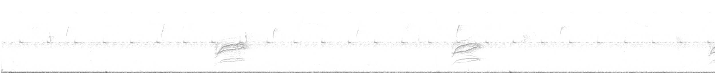 Hermit Thrush - ML279503181