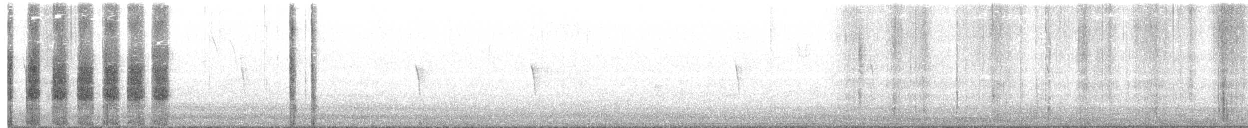 Troglodyte des marais - ML279512441