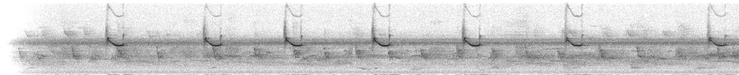 Collared Sunbird - ML279612