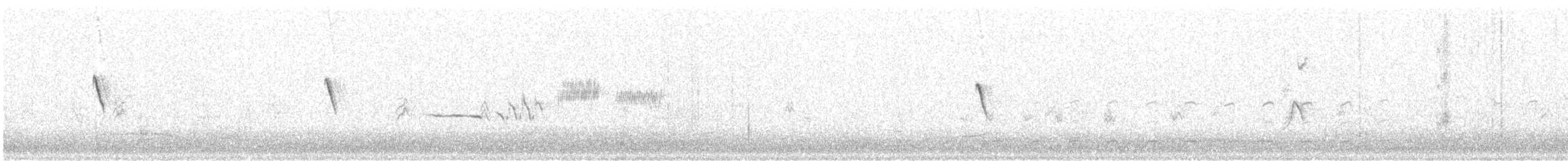 クロツキヒメハエトリ - ML279627601