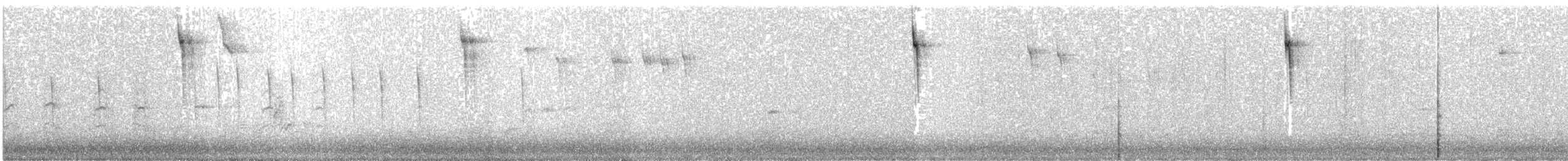フタスジスズメモドキ - ML279627611
