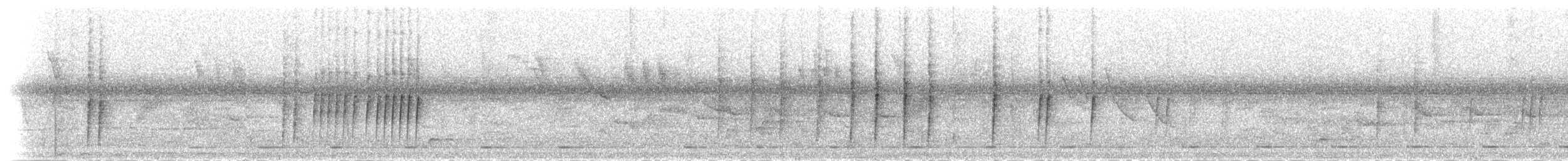 svartnebbamarant - ML279630