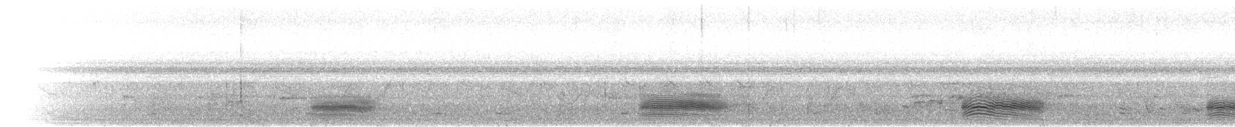 Африканский широкорот - ML279637