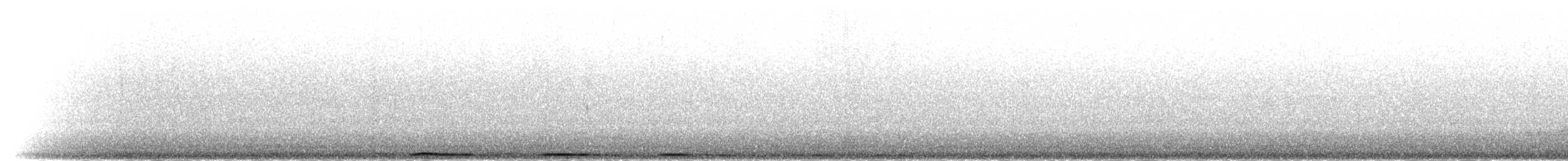 holub bronzovokrký - ML279676