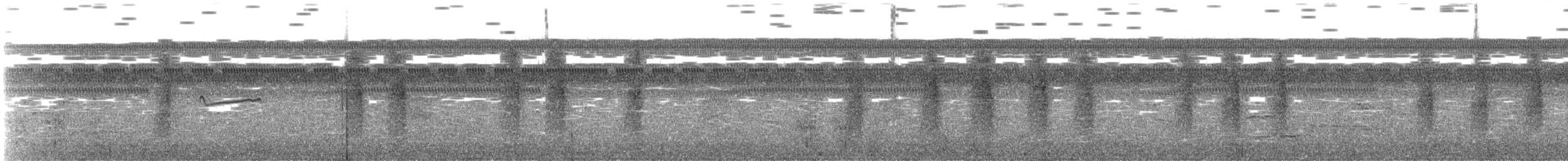 Troglodyte familier - ML279679651