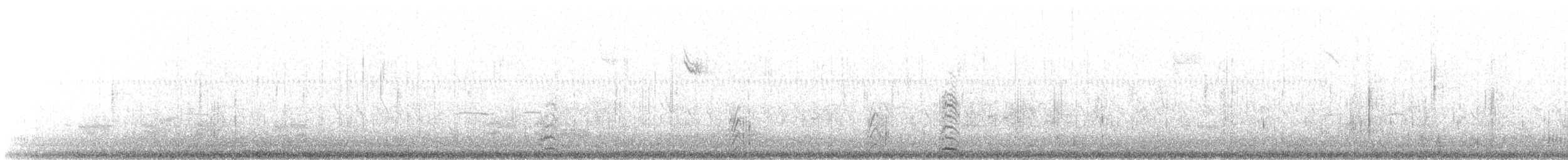 Cygne siffleur - ML279684021