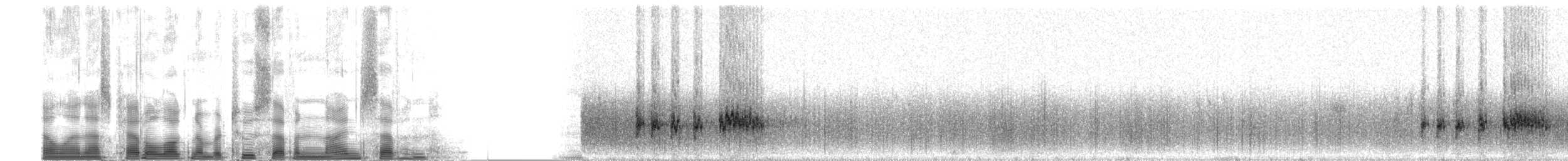 grynterikse (limicola/friedmanni) - ML2797