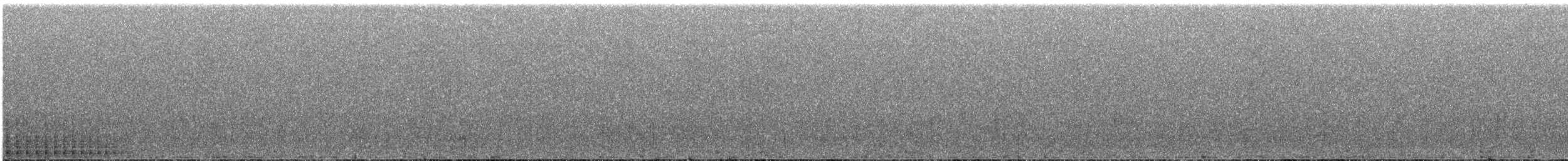 Белоспинный дятел (owstoni) - ML279745351