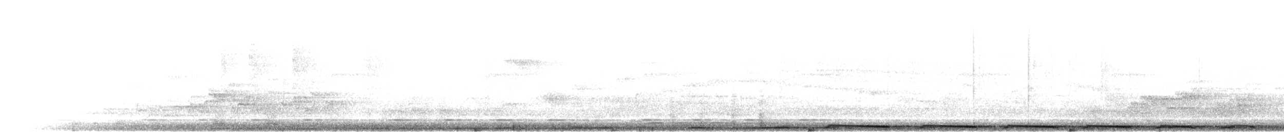 holub bronzovokrký - ML279750