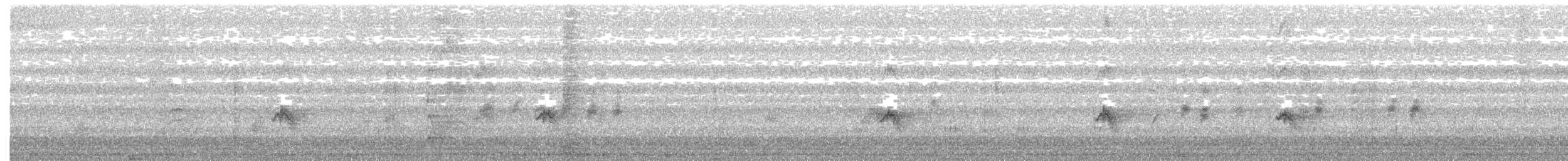 gulbrynkjernebiter - ML279754951