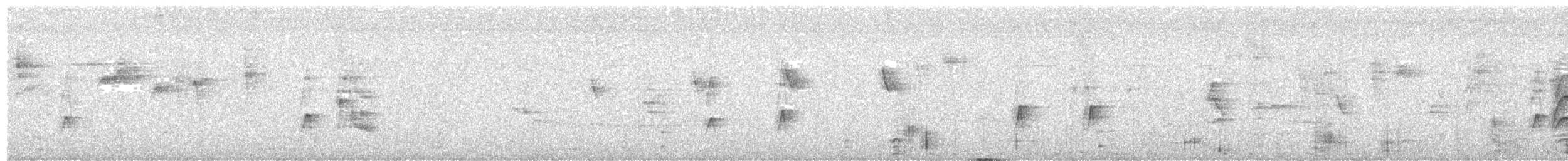 メジロハエトリ - ML279768171