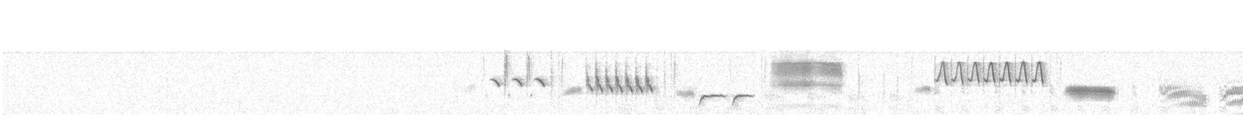 Grass Wren - ML279800091