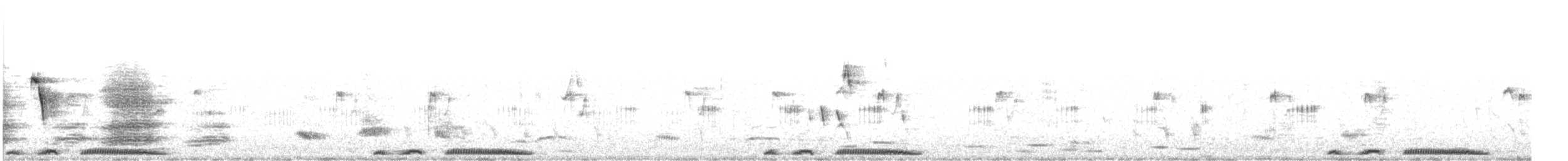 Spotted Dove - ML279845501