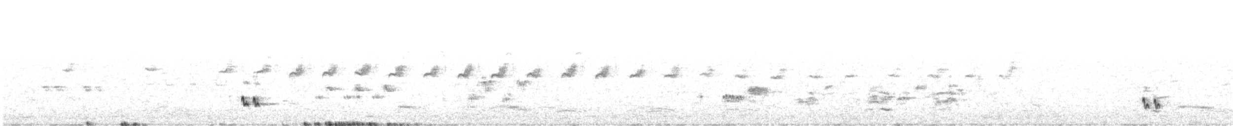 Singing Honeyeater - ML279845551