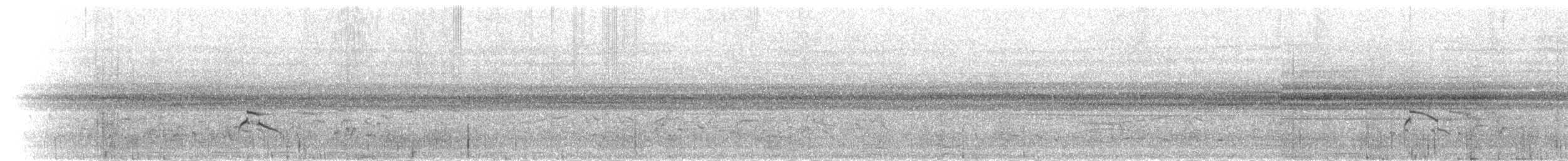 ニシミスジチドリ - ML279894