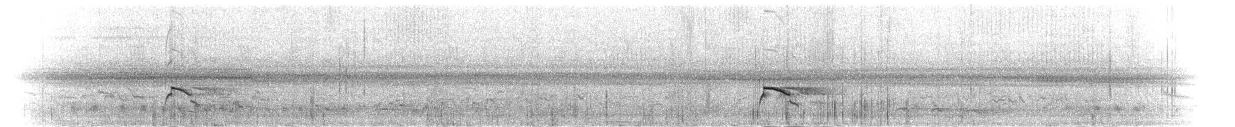 Forbes's Plover - ML279895