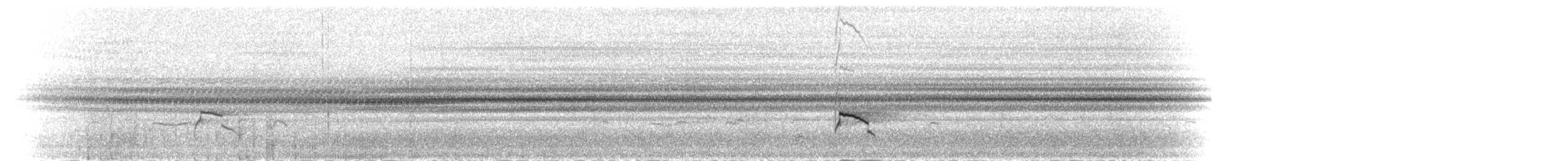 Chorlitejo de Forbes - ML279896