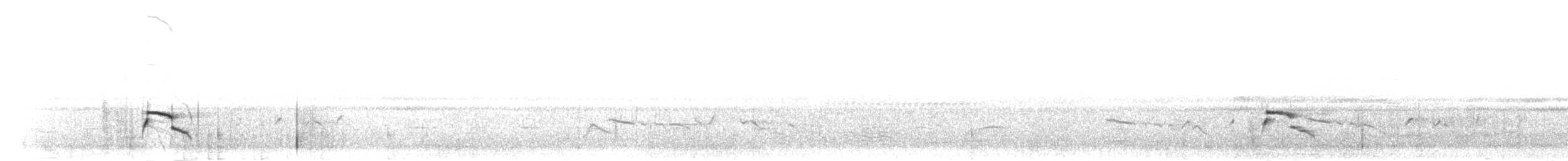 ニシミスジチドリ - ML279899