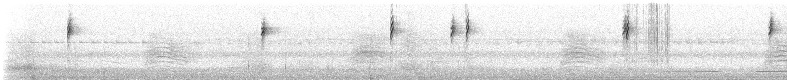 Tennessee Warbler - ML279969311