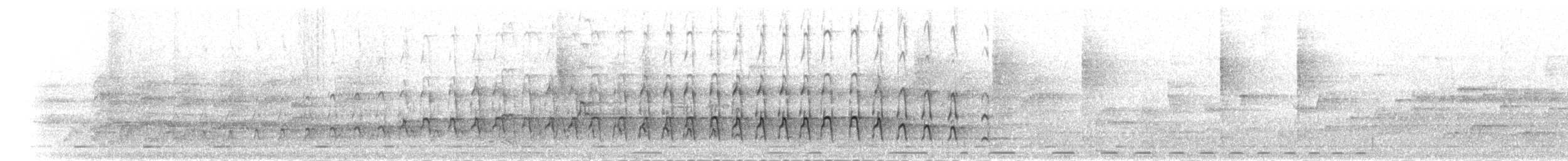 Kronentoko - ML280025