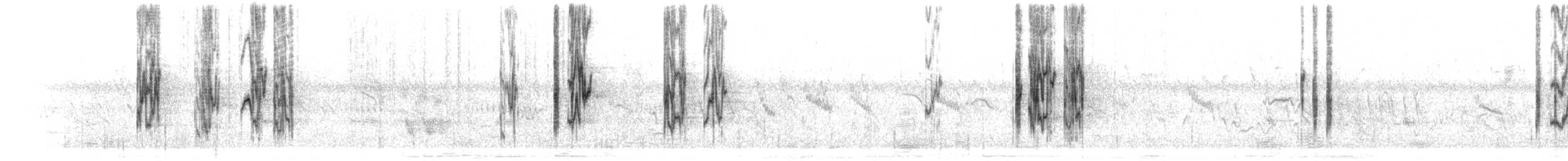 svarthodet dvergpapegøye - ML280068