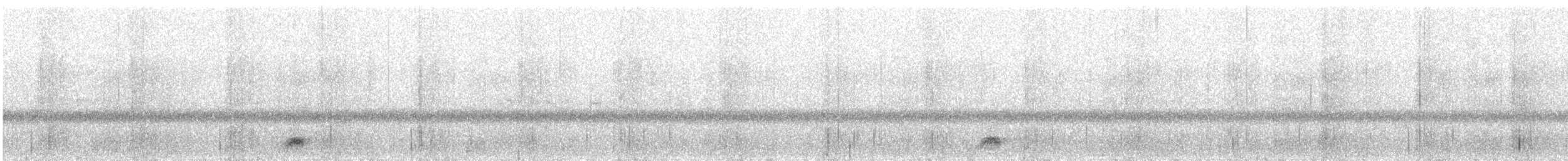 Black-crowned Night Heron - ML280076521