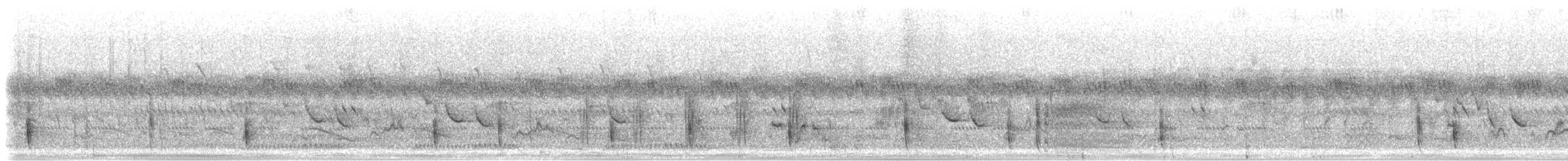 Dorntschagra - ML280100