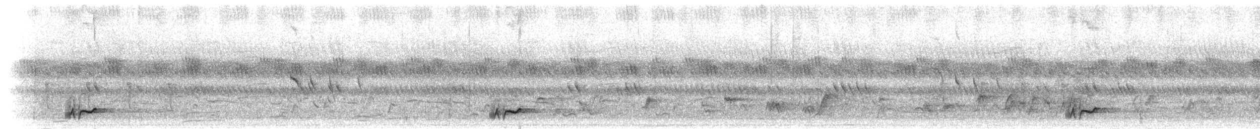Тирч плямистоволий - ML280102