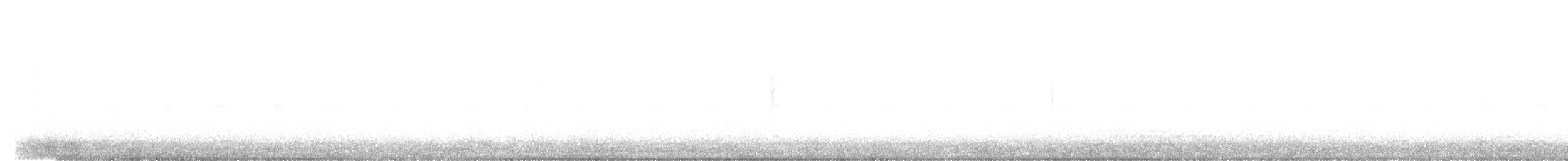 White-tailed Kite - ML280103731