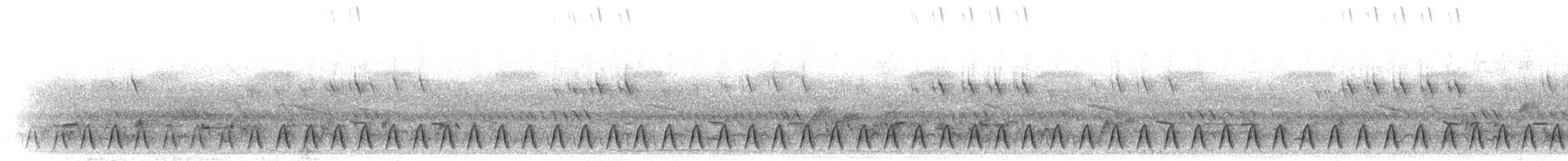 Slender-tailed Nightjar - ML280109