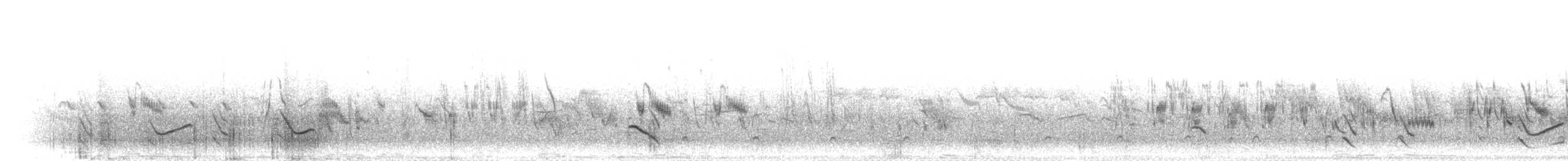 Short-tailed Lark - ML280153