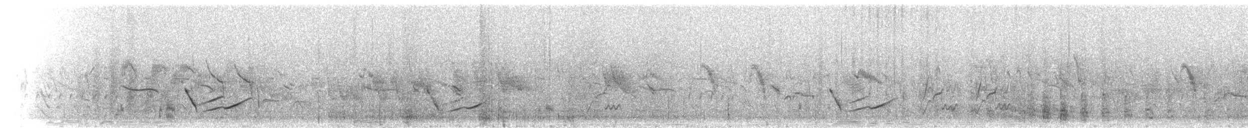 Short-tailed Lark - ML280157