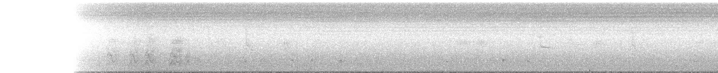 Spotted Buttonquail - ML280158471