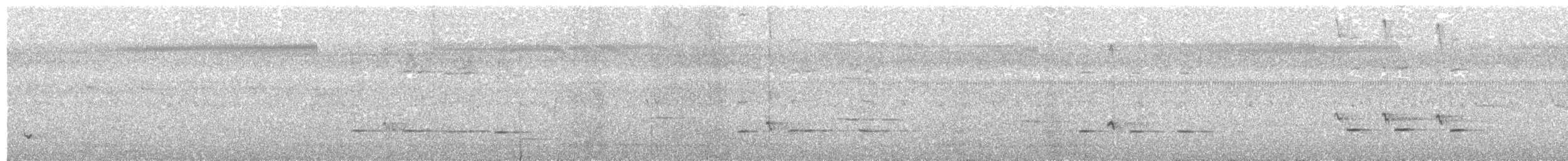 Pennantsittich [elegans-Gruppe] - ML280166491