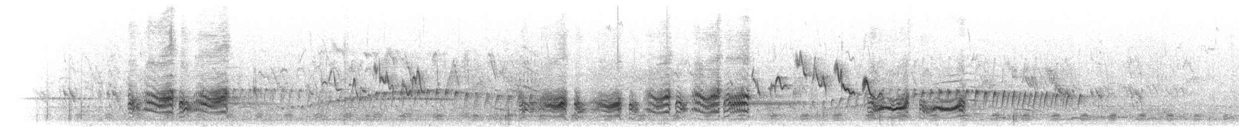 Hildebrandtglanzstar - ML280192