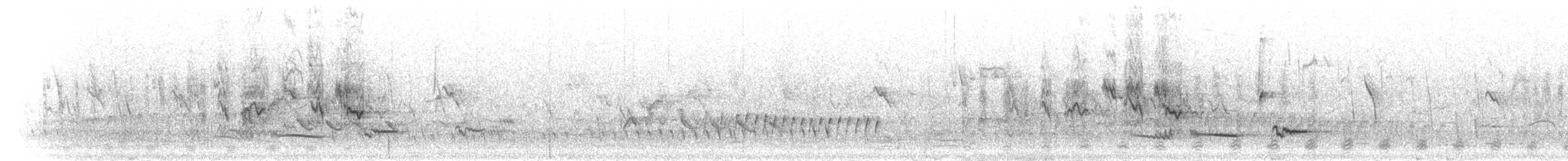 pěnicovec žlutobřichý - ML280193
