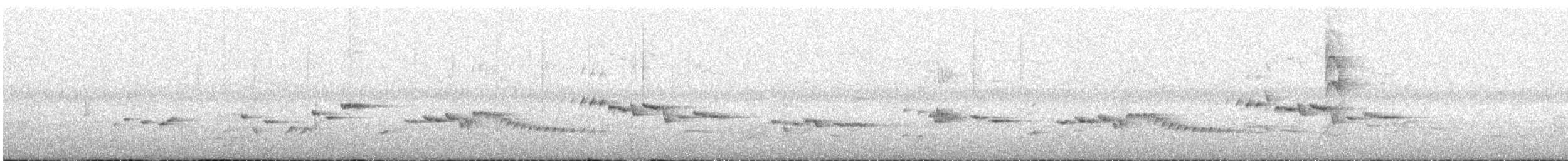 Norfolk Island Gerygone - ML280193791