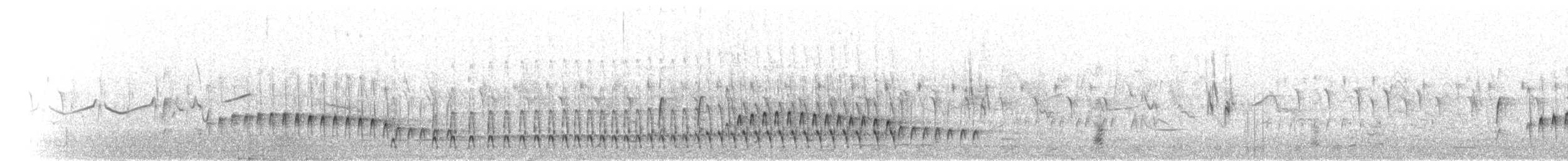 Banded Parisoma - ML280194