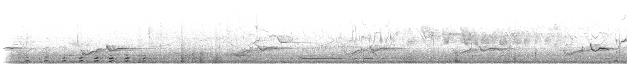 Calao à bec rouge - ML280201