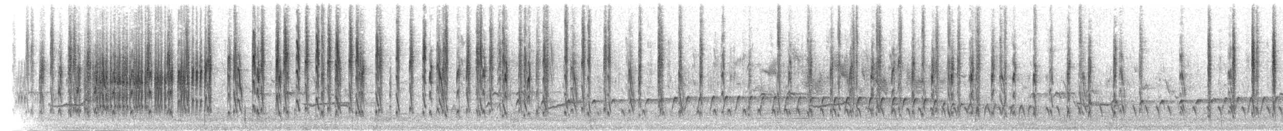 Prinia Ventripálida - ML280204