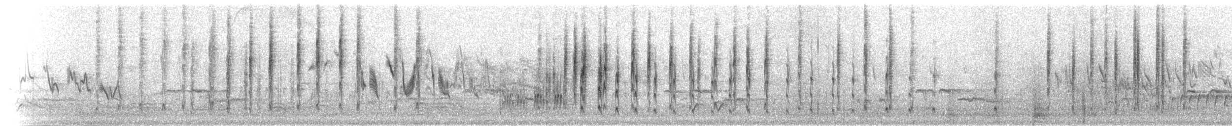 Prinia Ventripálida - ML280205