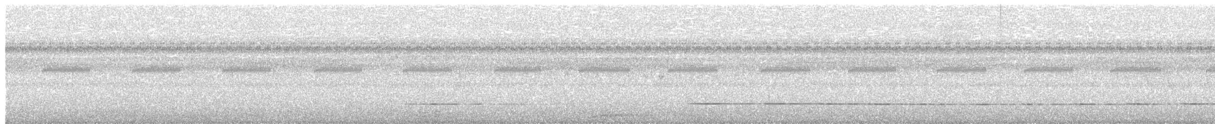 Ржавчатый скрытохвост - ML280211861