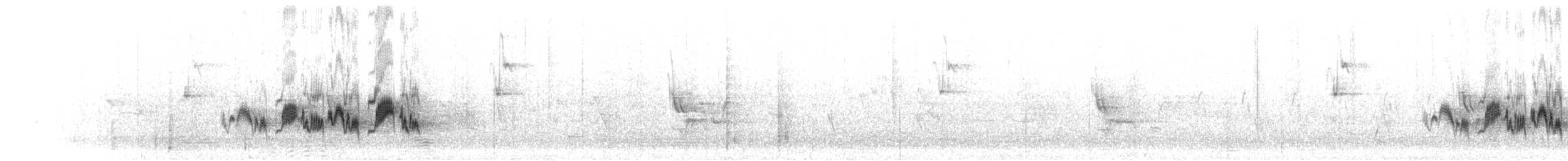 Habeş Kuyrukkakanı - ML280215